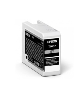 Epson T46S700 Ink Cartridge