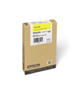 Epson T603400 Ink Cartridge