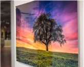 acrylic-large-format-printing