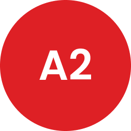 A2 Printers