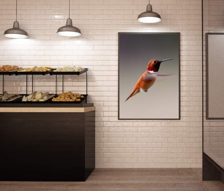 Interior design & decor